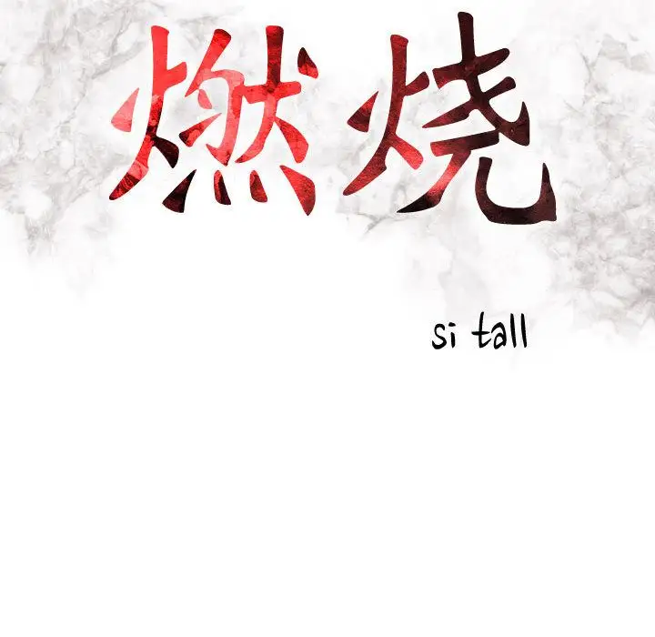 燃烧第10章