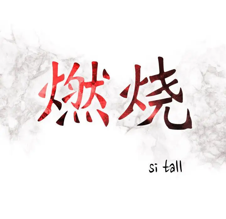 燃烧第11章