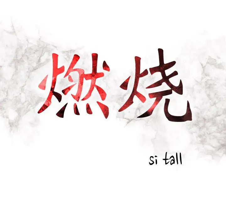 燃烧第12章