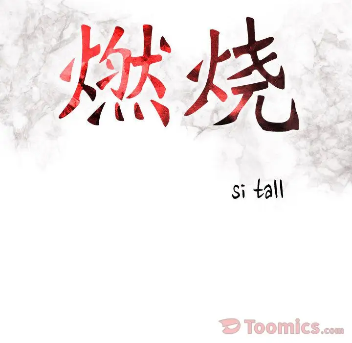 燃烧第13章