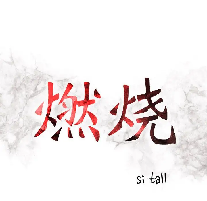 燃烧第24章