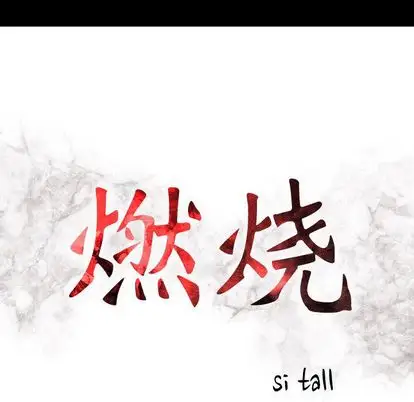 燃烧第28章
