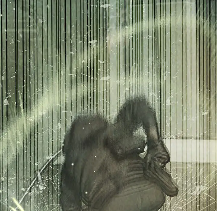巫女第37章