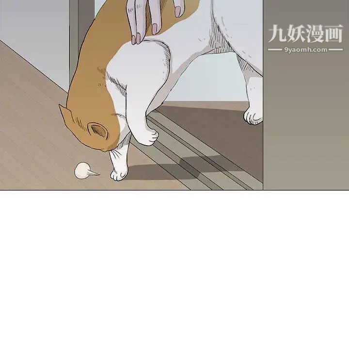 奇趣新人第19话