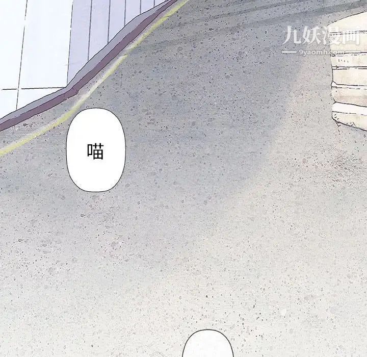 奇趣新人第28话