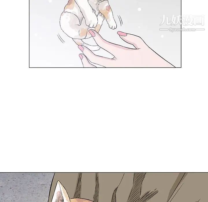 奇趣新人第28话