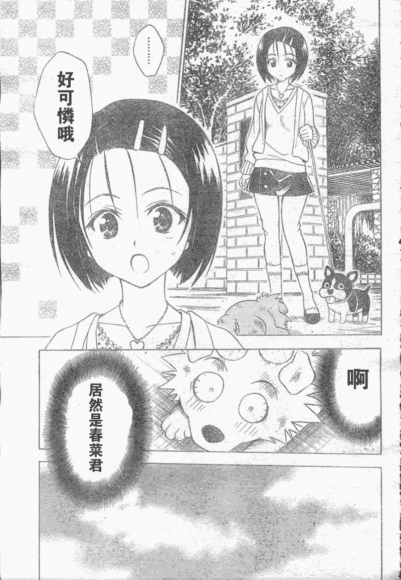 出包王女tolove043集