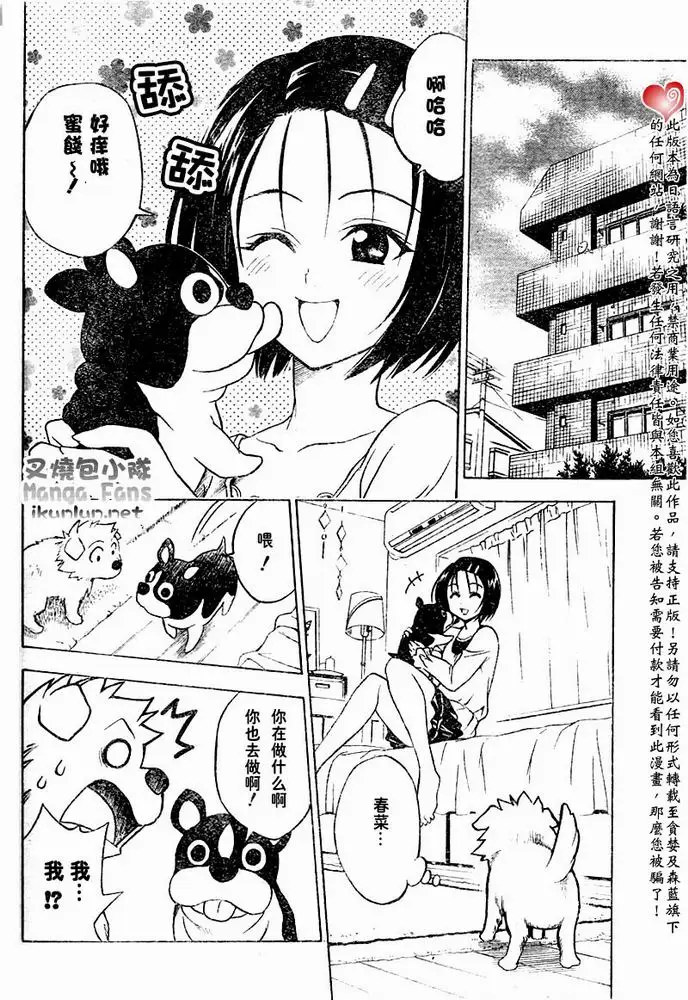 出包王女tolove044集