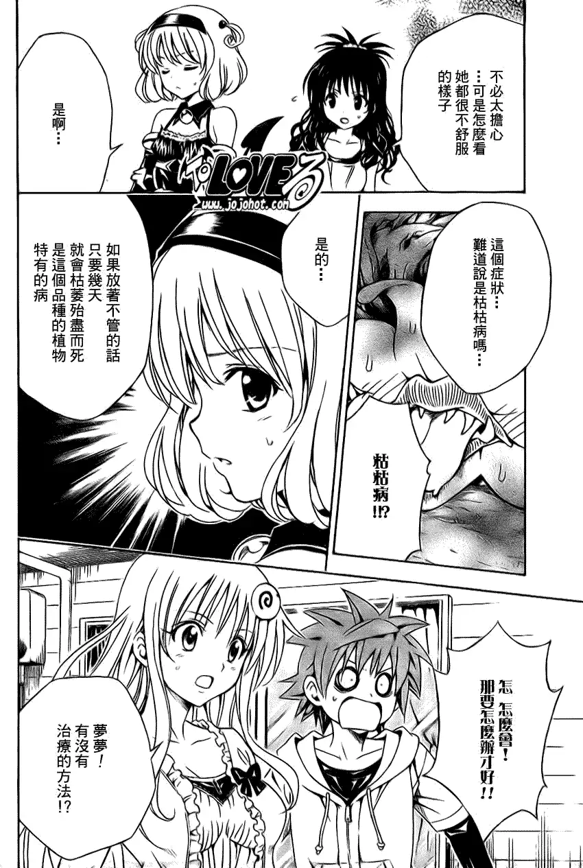 出包王女tolove124集