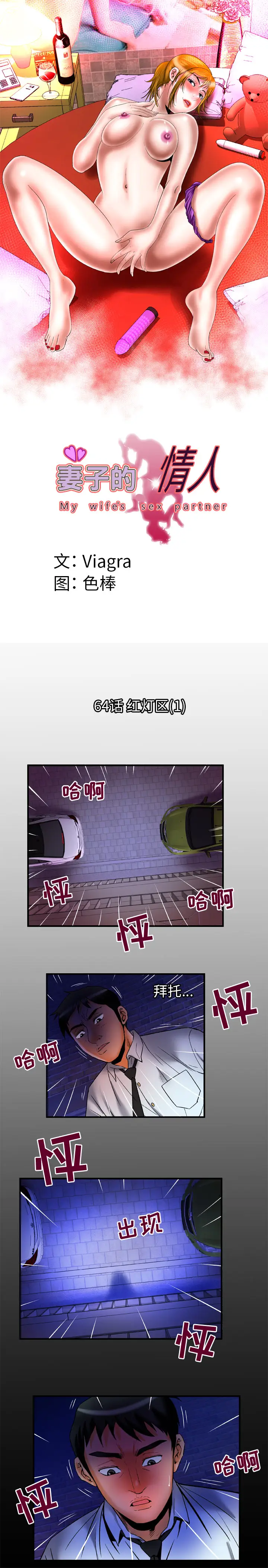 妻子的情人第64章