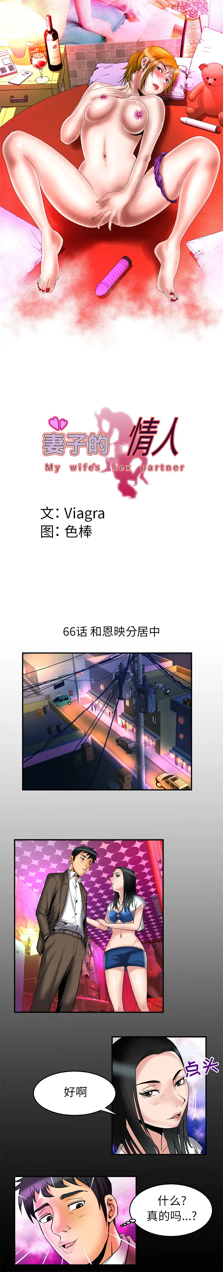 妻子的情人第66章