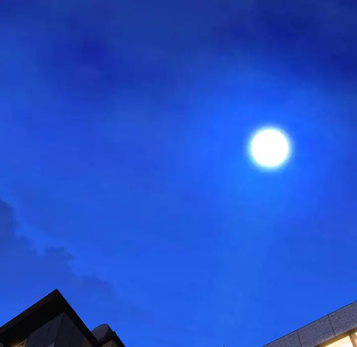 S商店的她第28话