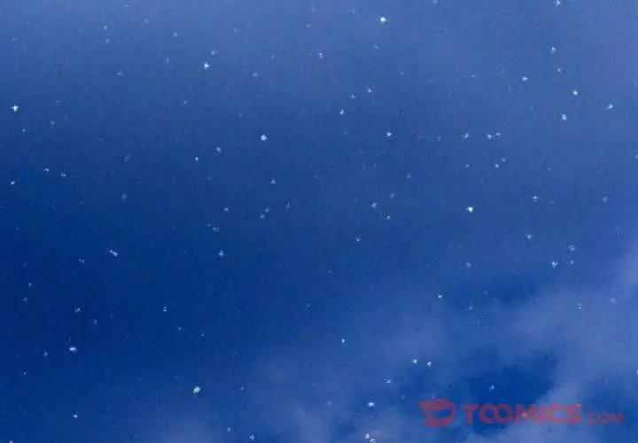 S商店的她第67章