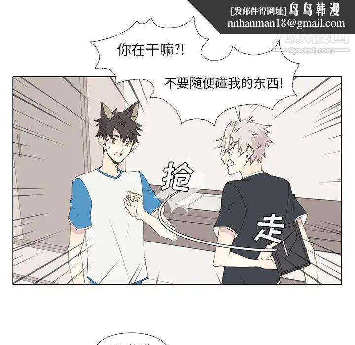 野性之城第15话