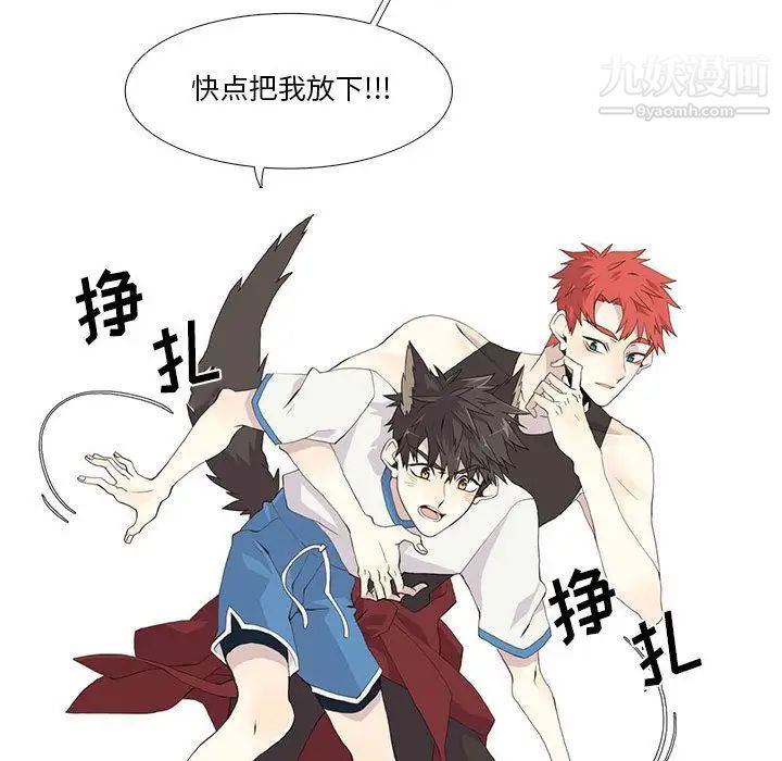 野性之城第23章