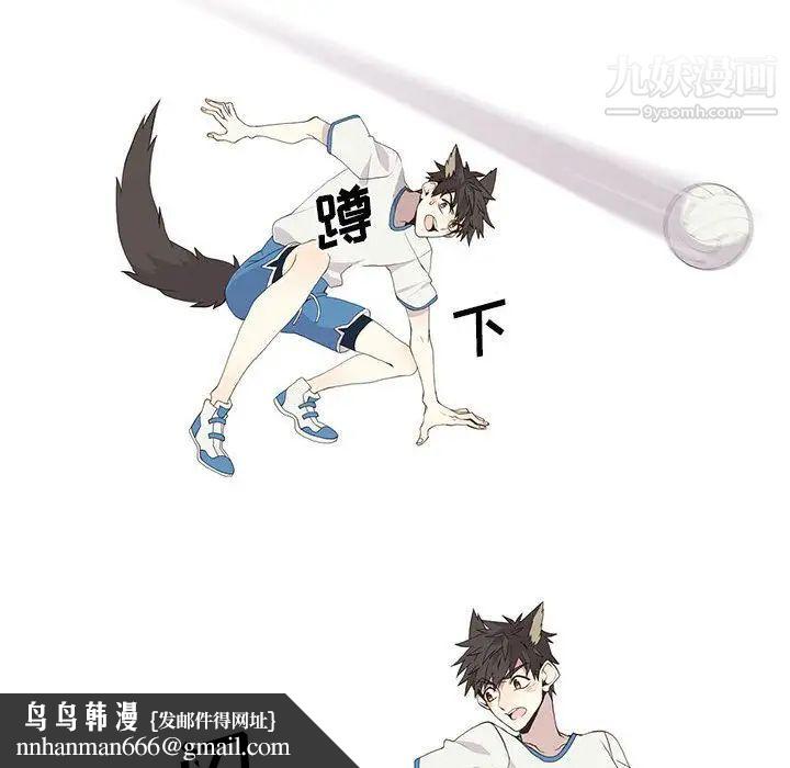 野性之城第24章