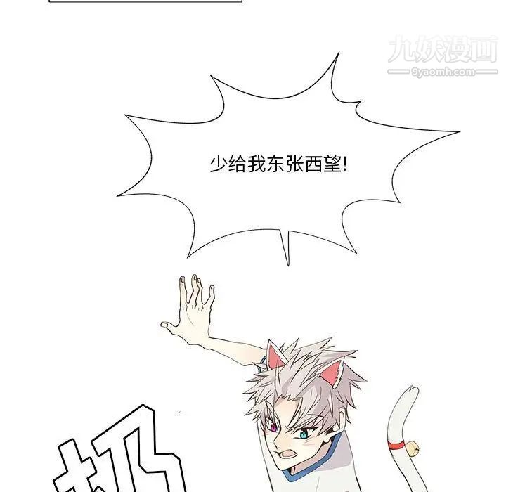 野性之城第25章