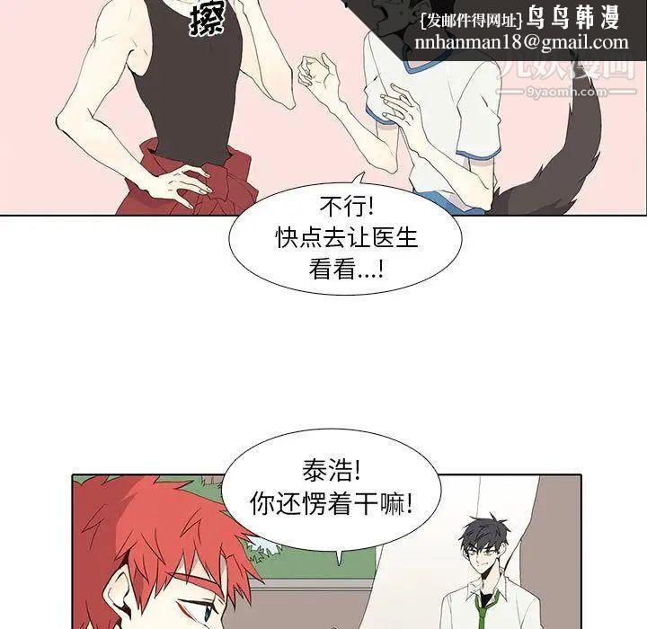 野性之城第25章