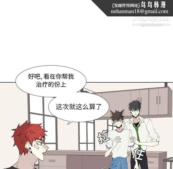 野性之城第26章