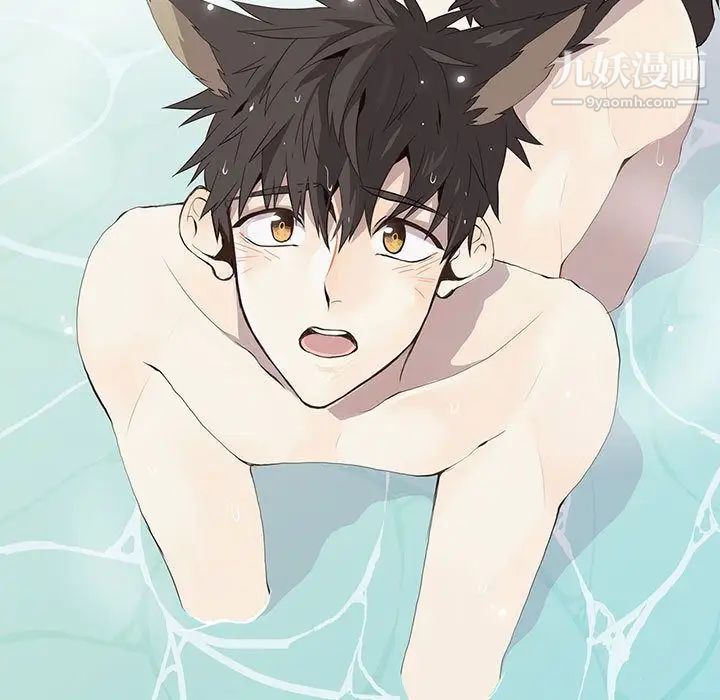 野性之城第27章