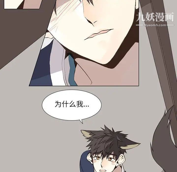 野性之城第28章