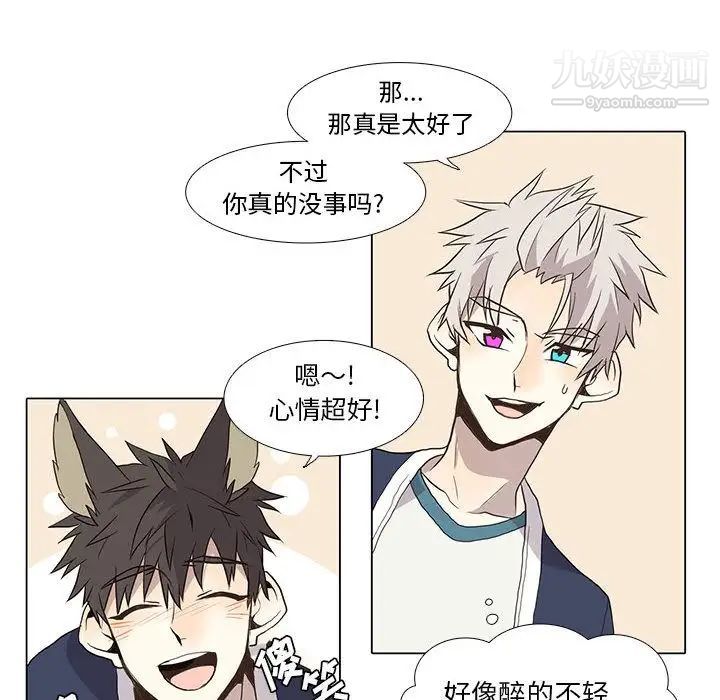 野性之城第28章