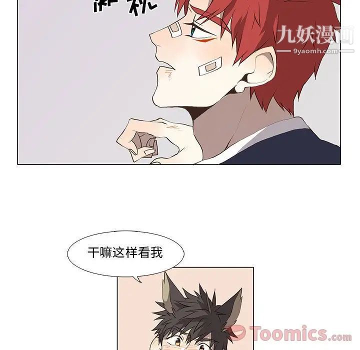 野性之城第31章