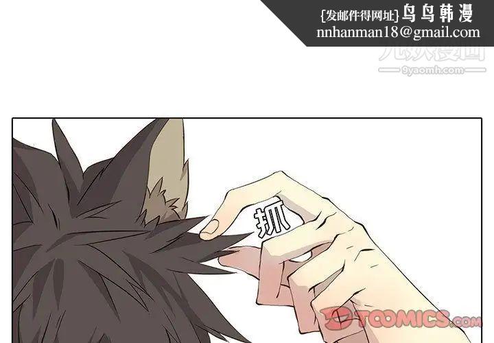 野性之城第35章