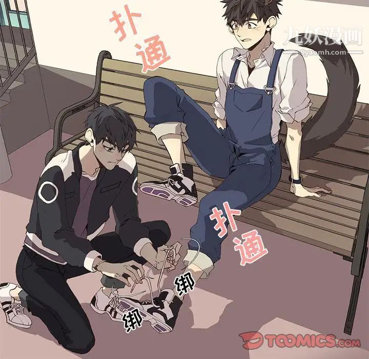 野性之城第36章