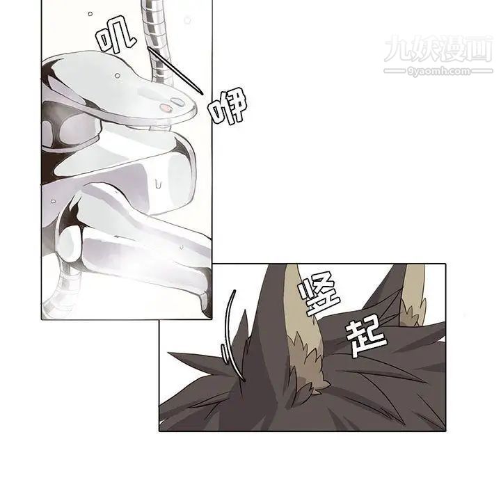 野性之城第38章