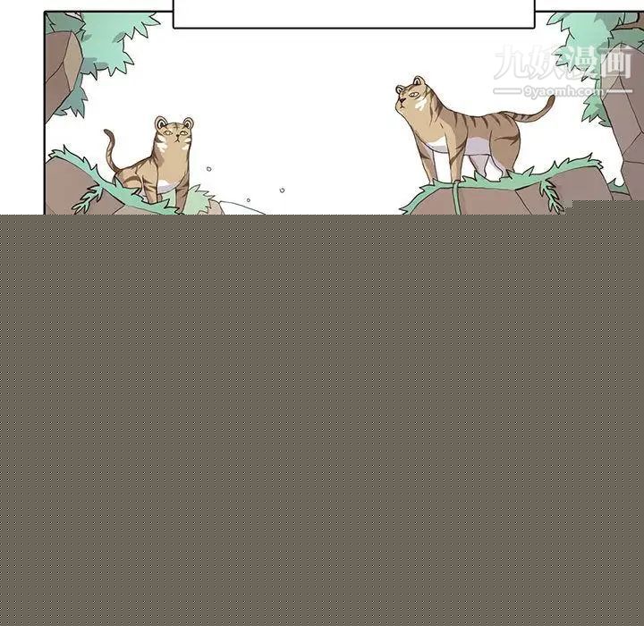 野性之城第38章