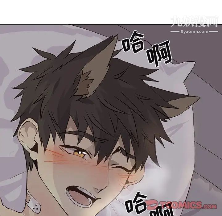 野性之城第39章