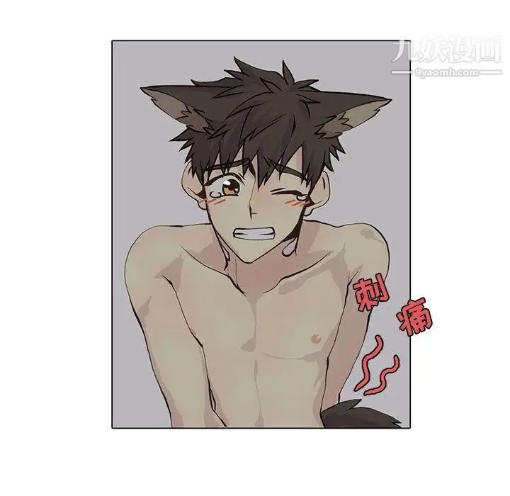 野性之城第39章