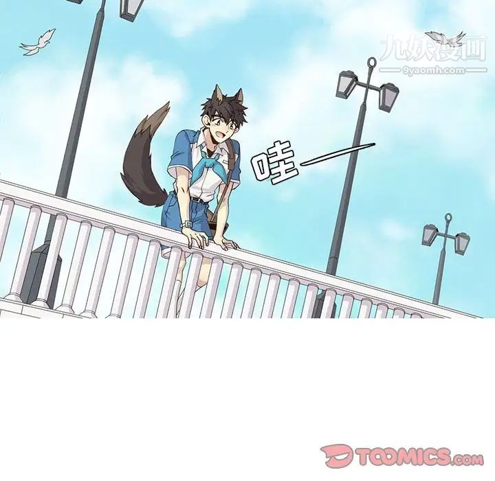 野性之城第40章