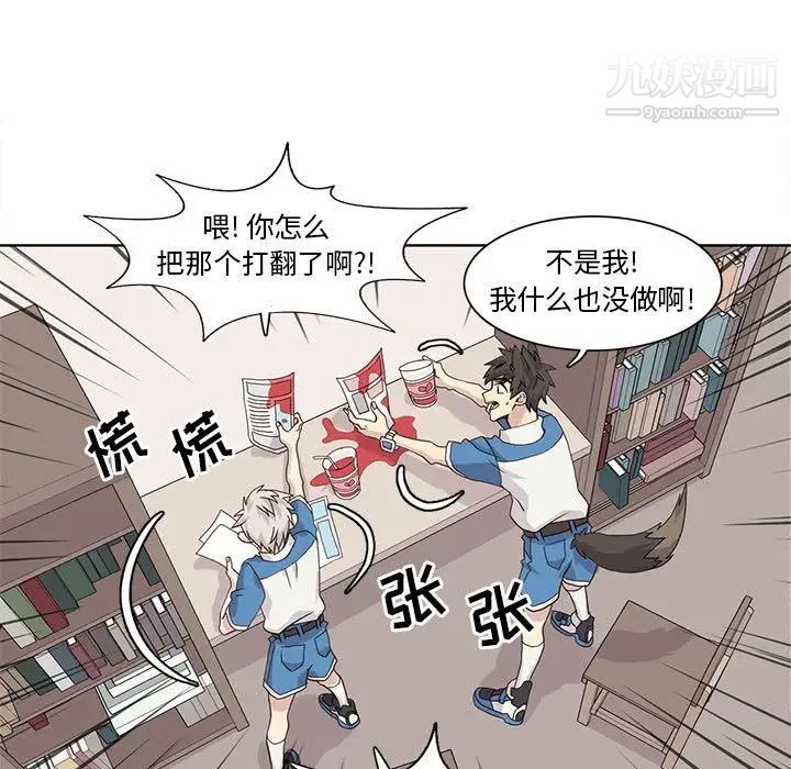 野性之城第41章