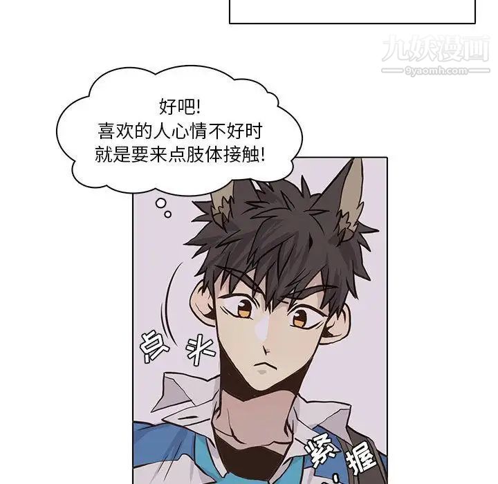 野性之城第42章