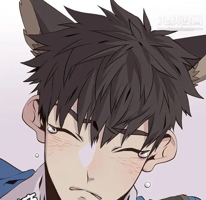 野性之城第43章