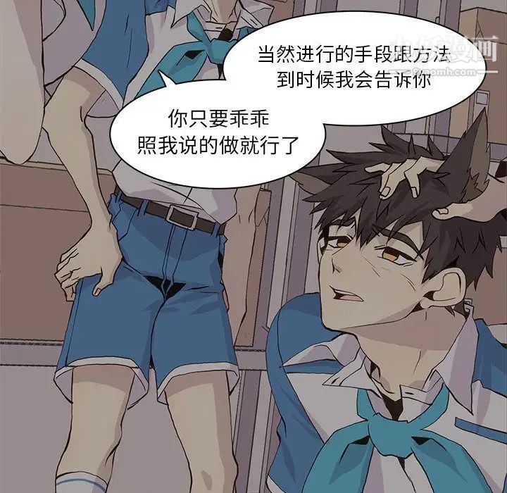 野性之城第45章