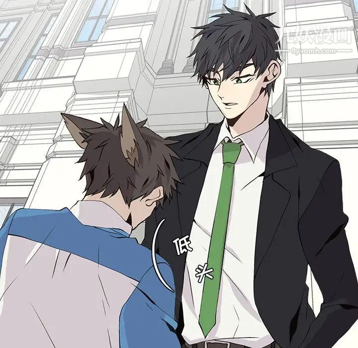 野性之城第48话