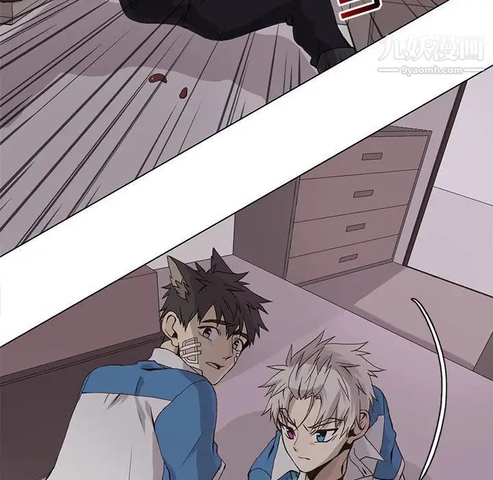 野性之城第50话