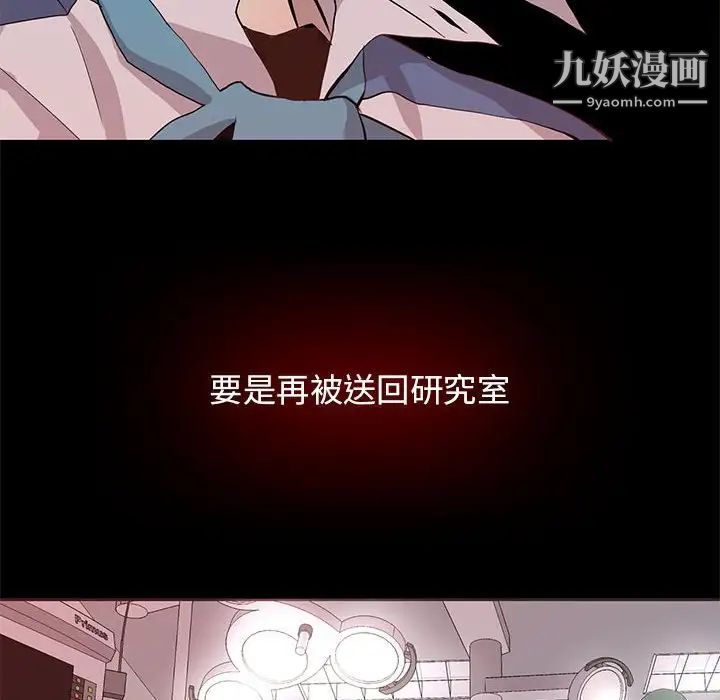 野性之城第67话