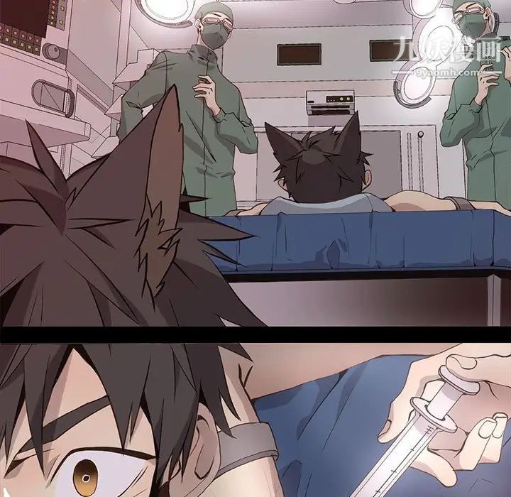 野性之城第67话