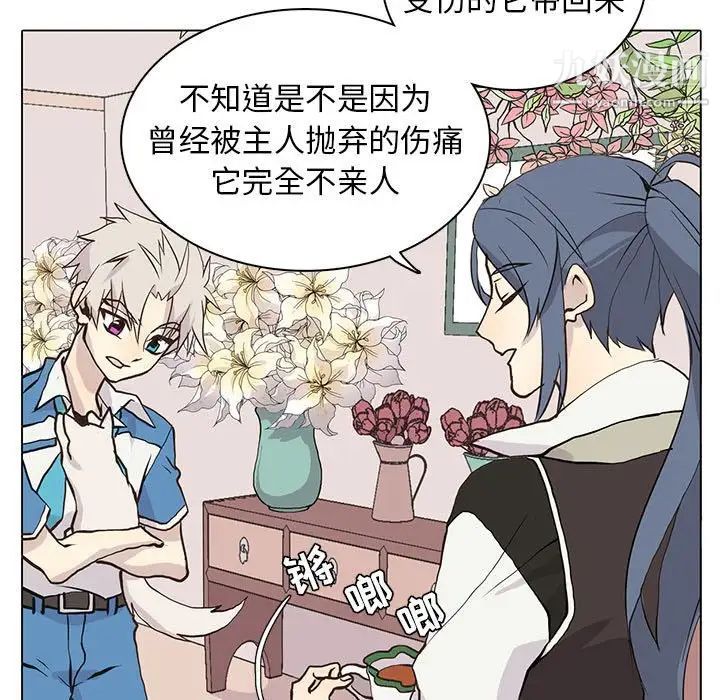 野性之城第73话