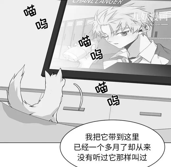 野性之城第73话