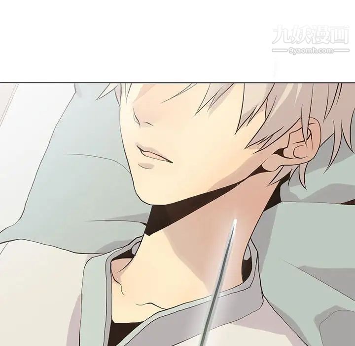 野性之城第78话