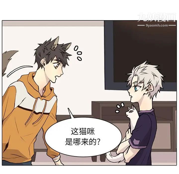 野性之城第87话