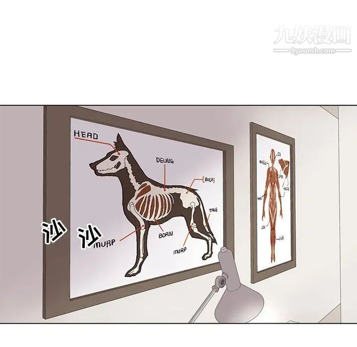 野性之城第88话