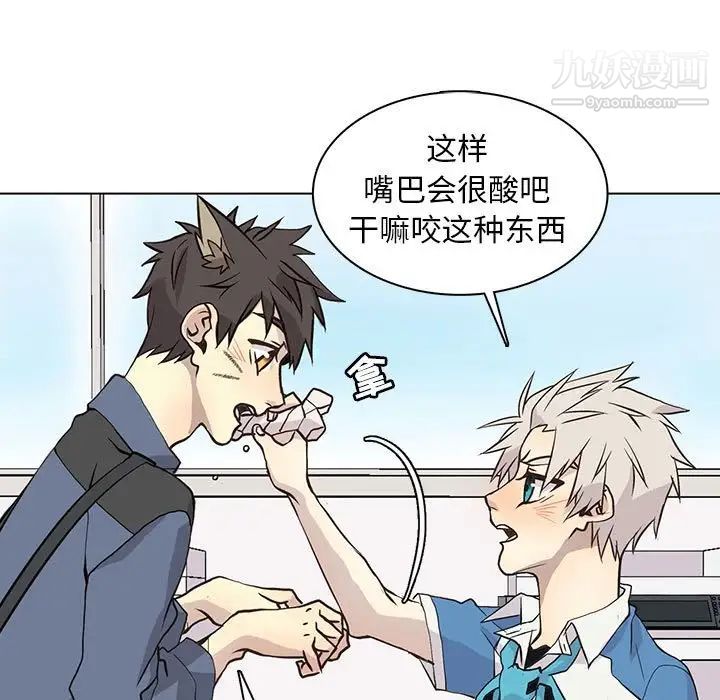 野性之城第89话