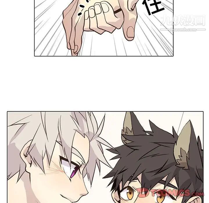 野性之城第96话