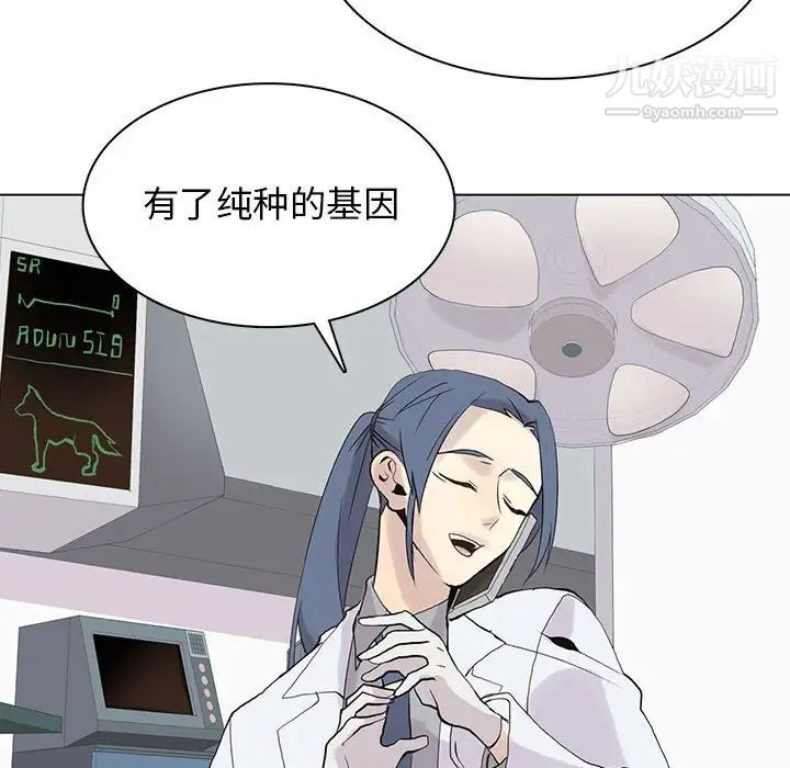 野性之城第102话